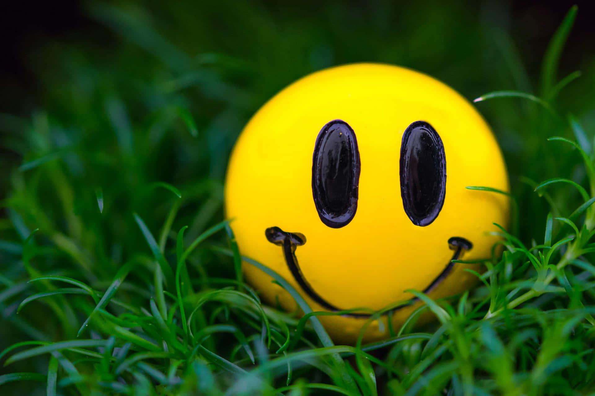 1920x1280 Happy Smile Wallpaper for FREE
