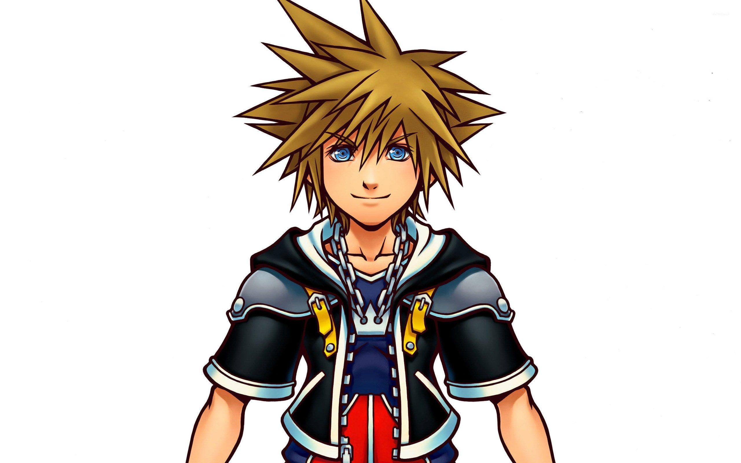 2560x1600 Kingdom Hearts And Sora Axel