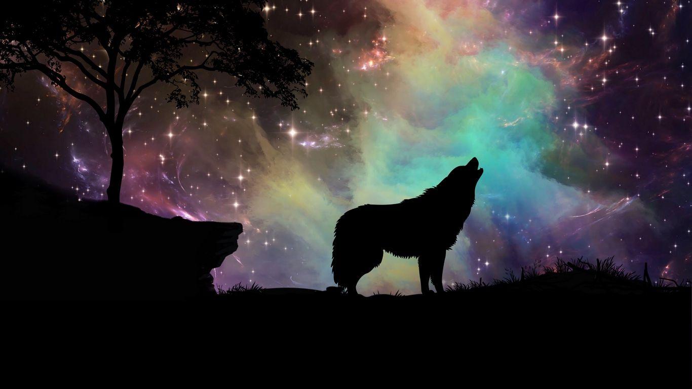 Wolf Laptop Wallpapers Top Free Wolf Laptop Backgrounds