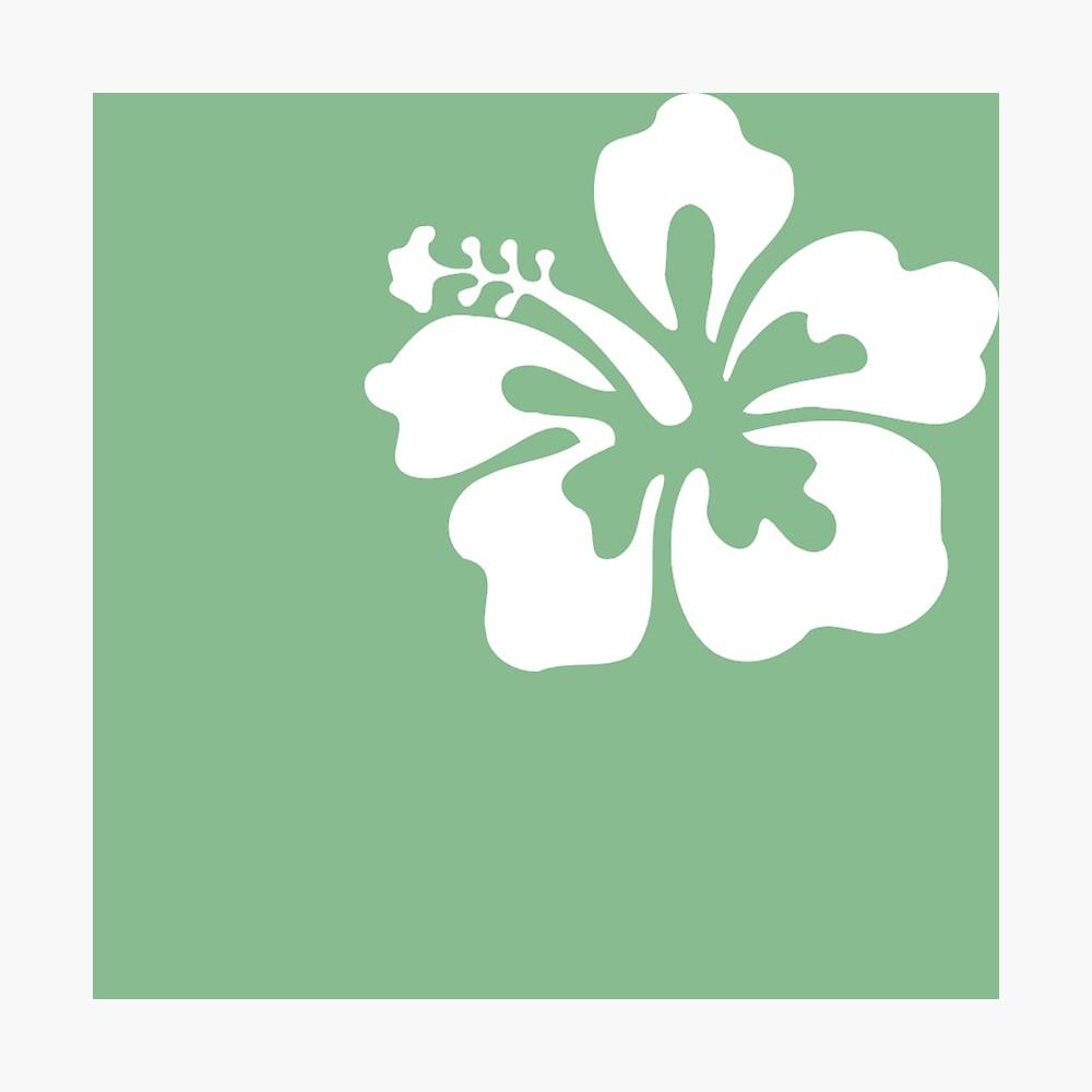 Coconut Girl Wallpapers Top Free Coconut Girl Backgrounds