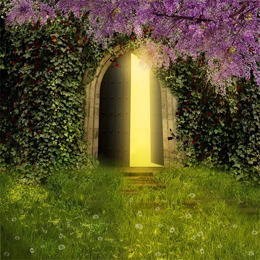 894x894 Amazon.com : AOFOTO 10x10ft Fantasy Vintage Door Background Dreamy Garden Photography Backdrop Magic Forest Flowers Archway Meadow Fairytale Photo Studio Props Kid Girl Princess Artistic Portrait Vinyl Wallpaper