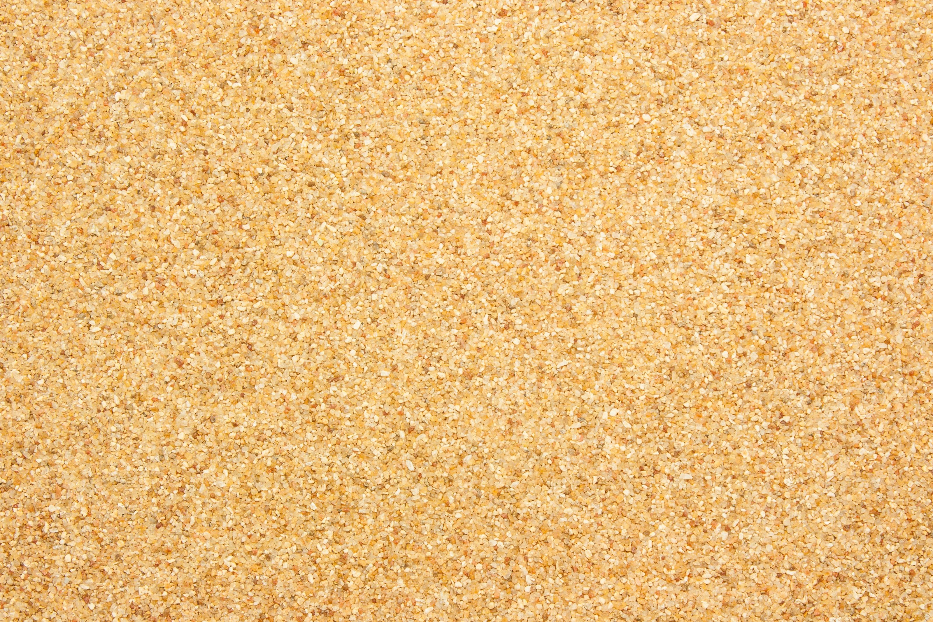 3200x2133 Coarse Sand Texture Wall Mural Your Way
