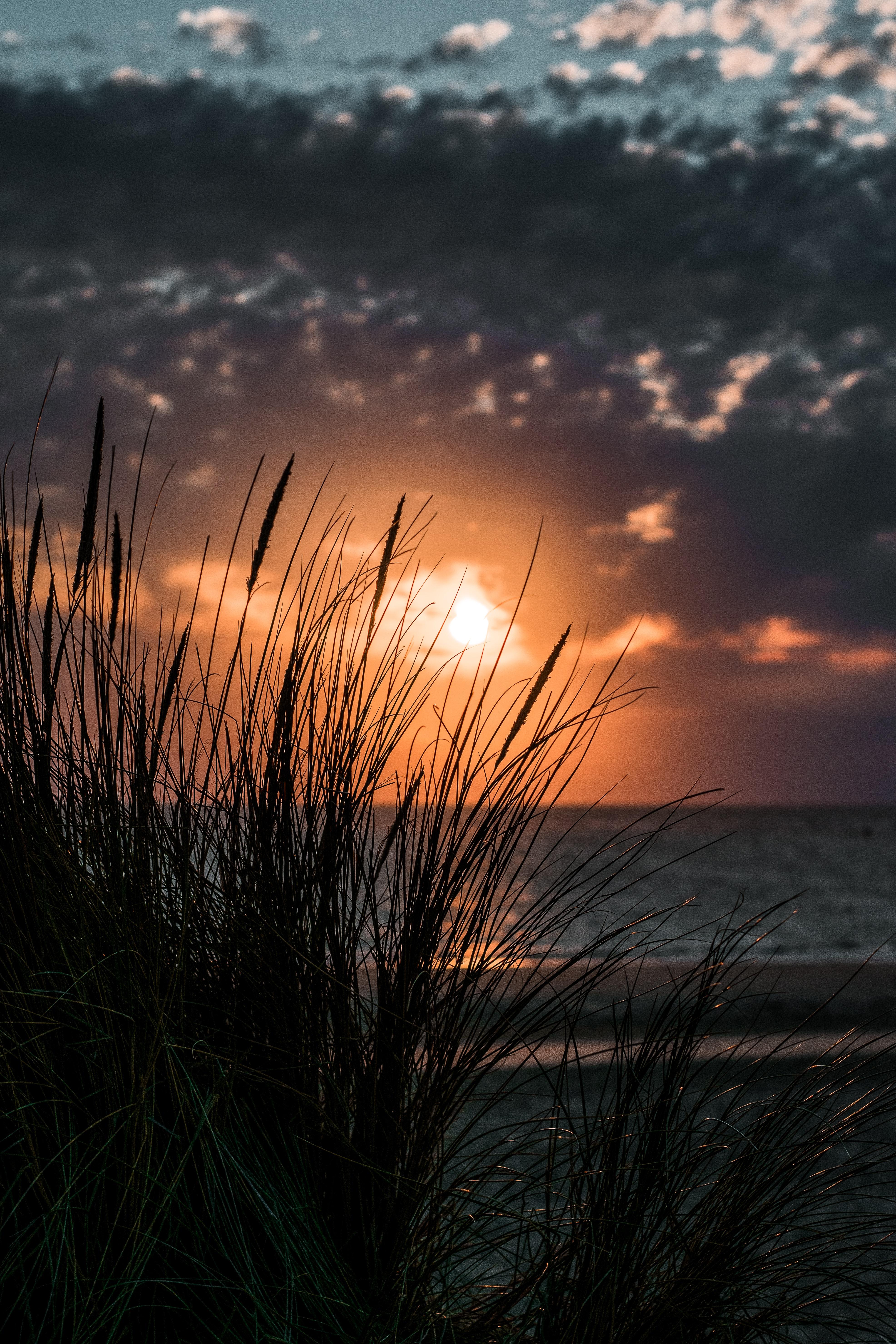3945x5917 Download Sunset wallpaper for mobile phone, free Sunset HD picture