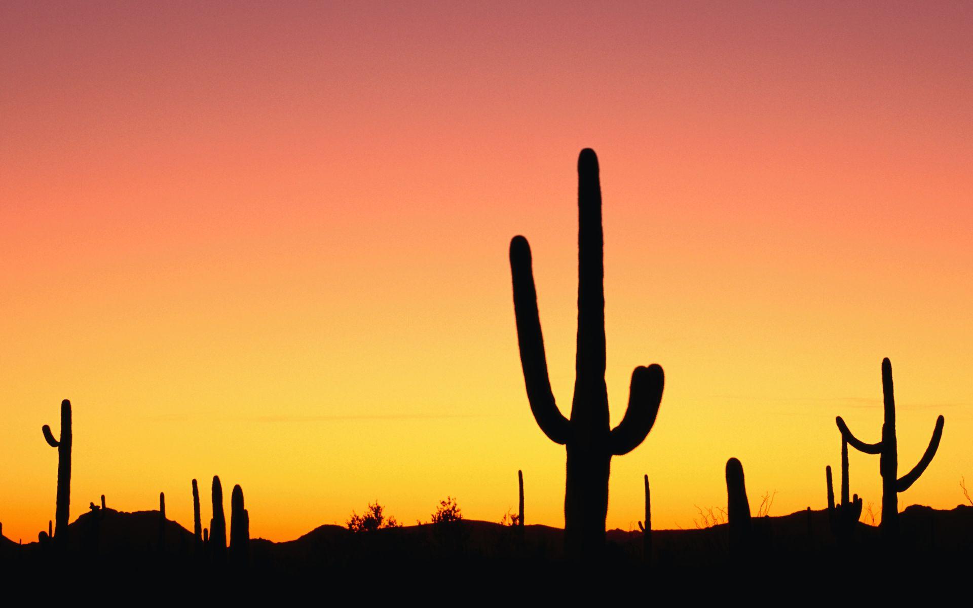 1920x1200 Download these sunset Android wallpaper