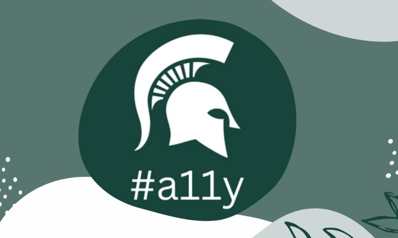 1300x780 Accessibility Professionals at MSU meeting State University
