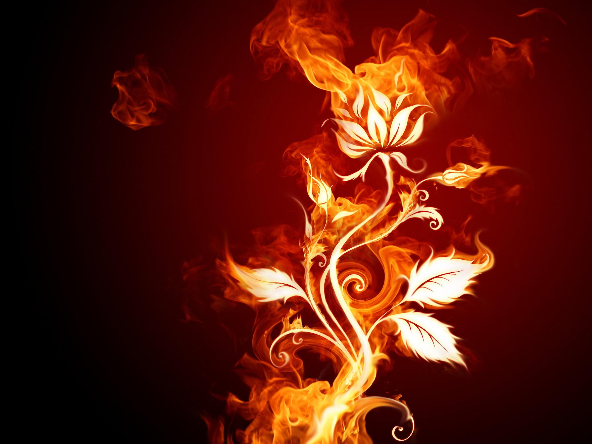 1920x1440 Fire flower wallpaper. Fire flower