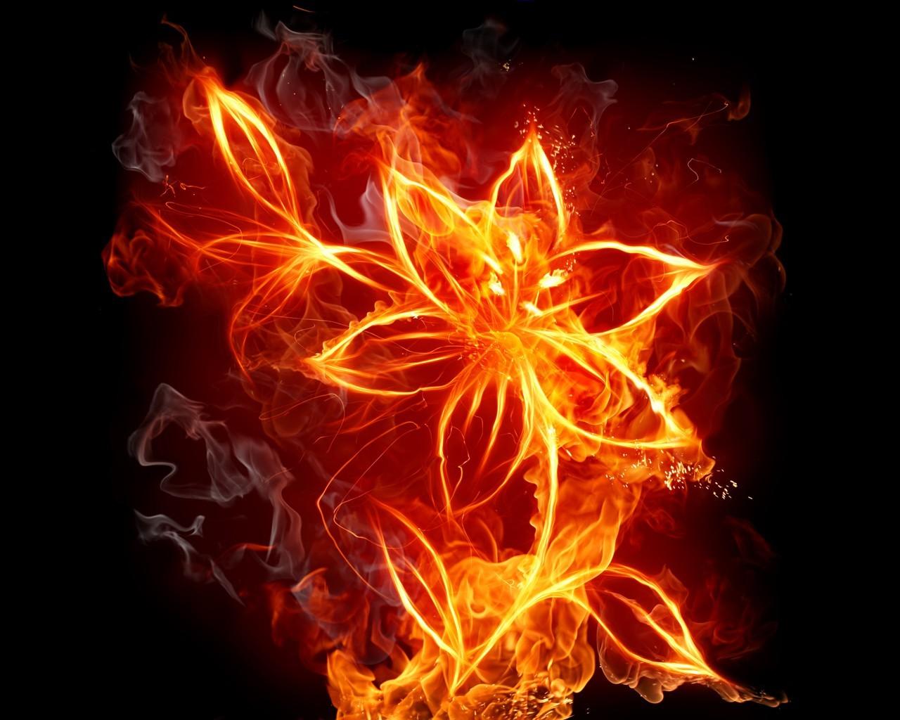 Fire Flower Wallpapers Top Free Fire Flower Backgrounds WallpaperAccess