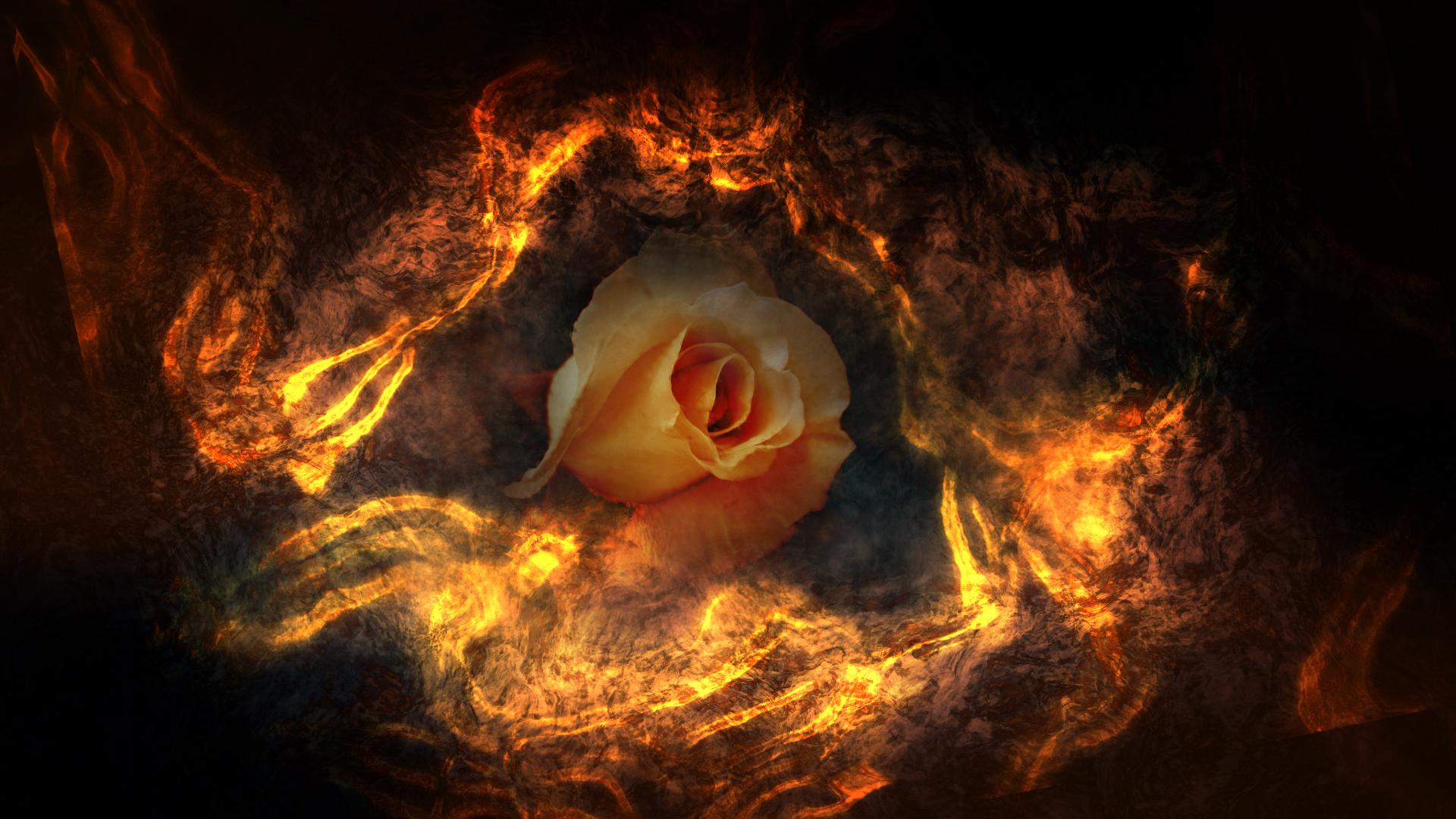 Fire Flower Wallpapers Top Free Fire Flower Backgrounds WallpaperAccess