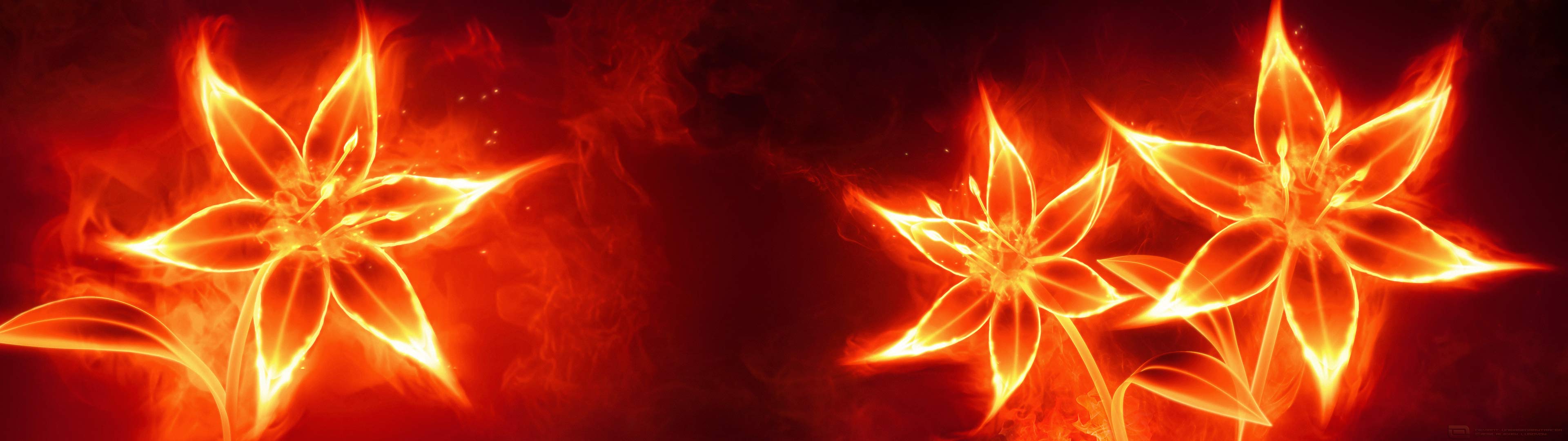 3840x1080 Free download Fire Flower Wallpaper Title fire flower [3840x1080] for your Desktop, Mobile & Tablet. Explore Fire Flower Wallpaper. Flower Background, Fire Background, Flower Wallpaper