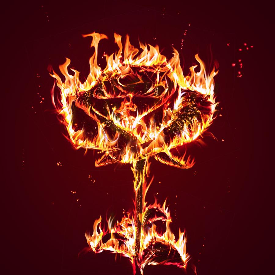 Fire Flower Wallpapers Top Free Fire Flower Backgrounds WallpaperAccess