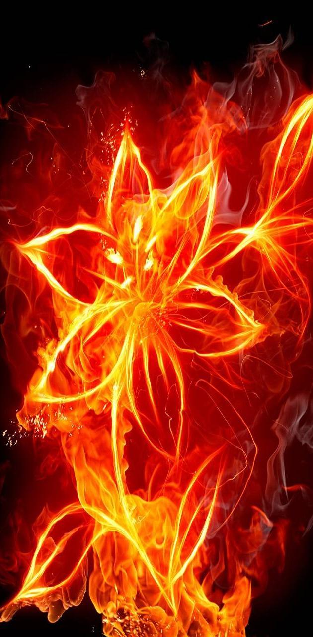 Fire Flower Wallpapers - Top Free Fire Flower Backgrounds - WallpaperAccess