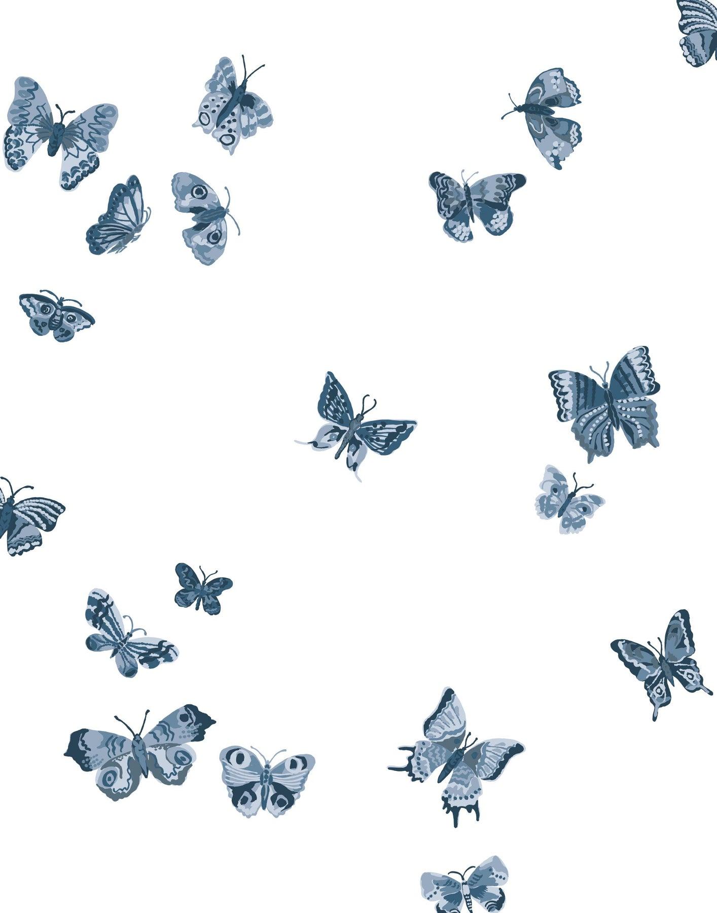 The Butterfly Wallpapers - Top Free The Butterfly Backgrounds ...