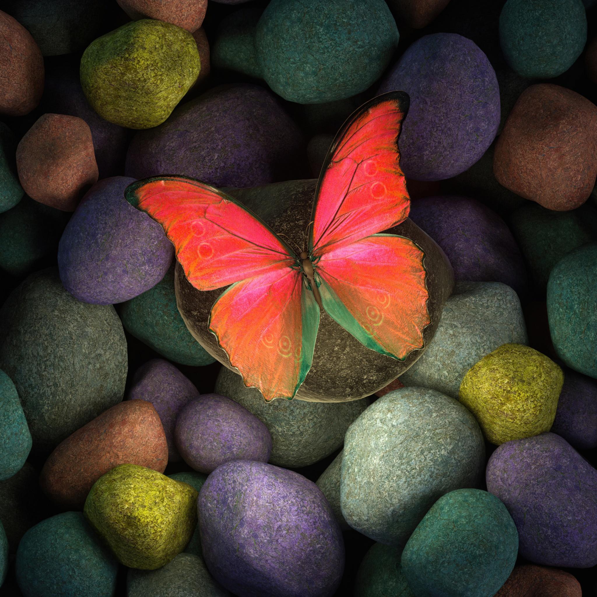 2048x2048 Butterfly Wallpaper 4K, Stones
