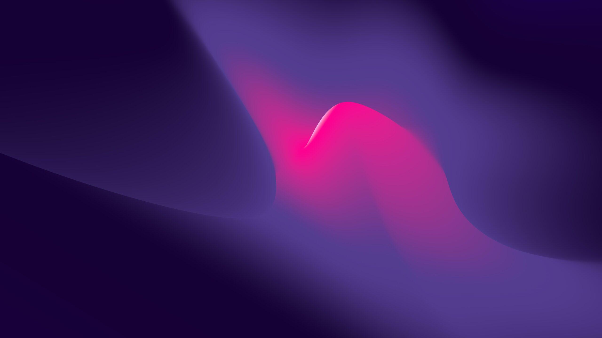 2560x1440 Best Windows 11 4k Wallpaper [ Ultra 4k ]