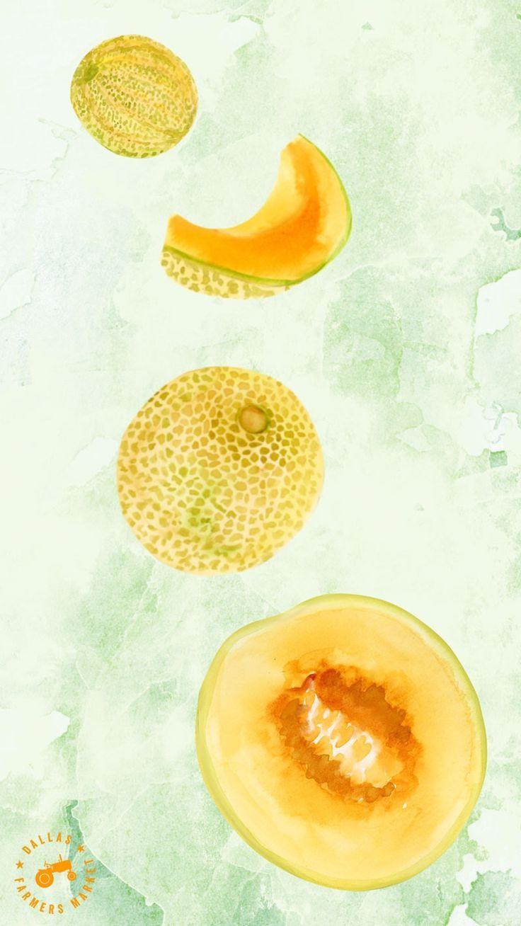 736x1308 Cantaloupe Wallpaper