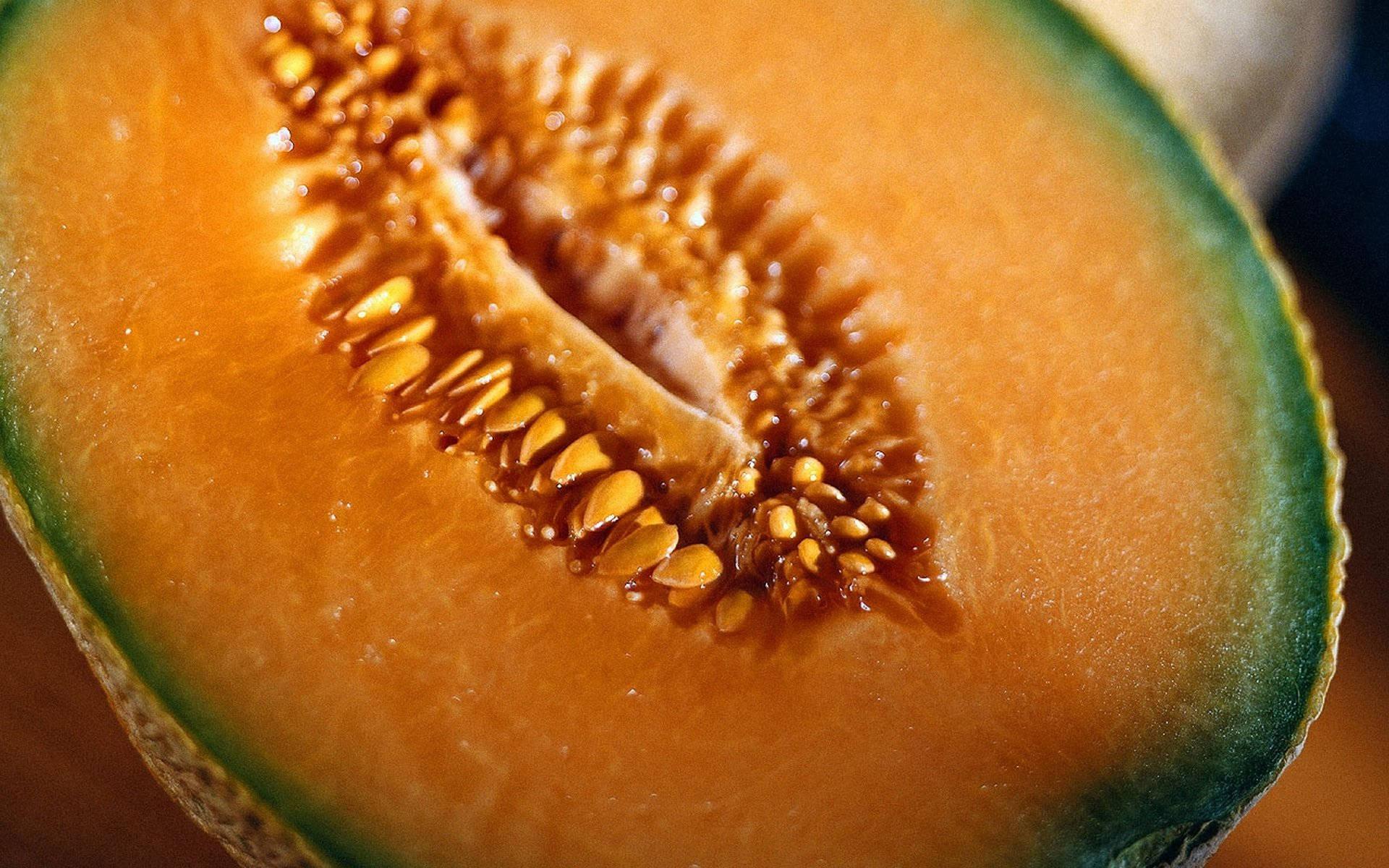 1920x1200 Cantaloupe Seeds Close Up Wallpaper