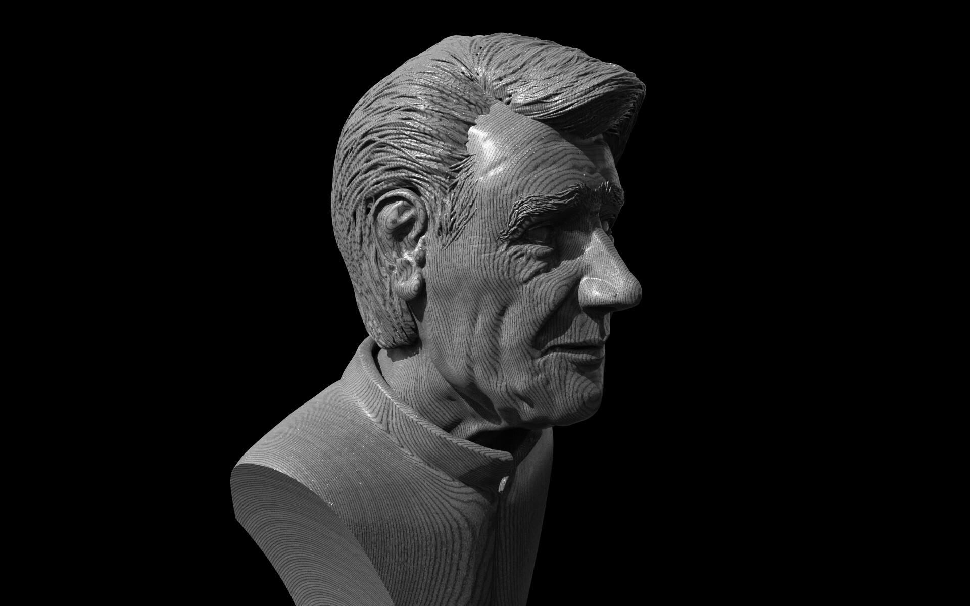 1920x1200 Master Shajarian 3D Bust