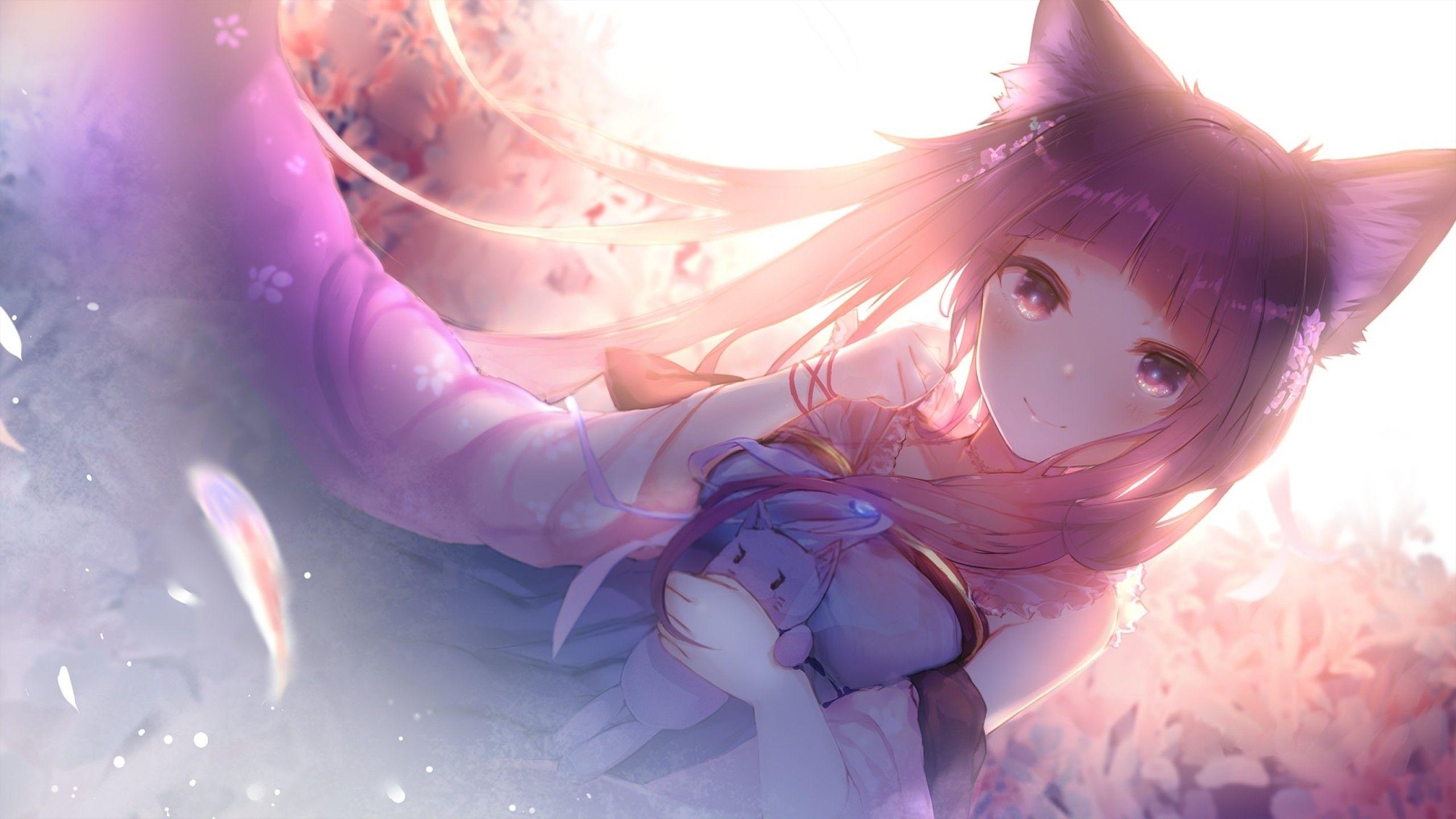 Anime Cat Girl Wallpapers Top Free Anime Cat Girl Backgrounds 