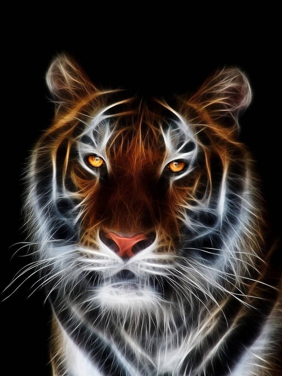 Tiger 3D Wallpapers  Top Free Tiger 3D Backgrounds  WallpaperAccess