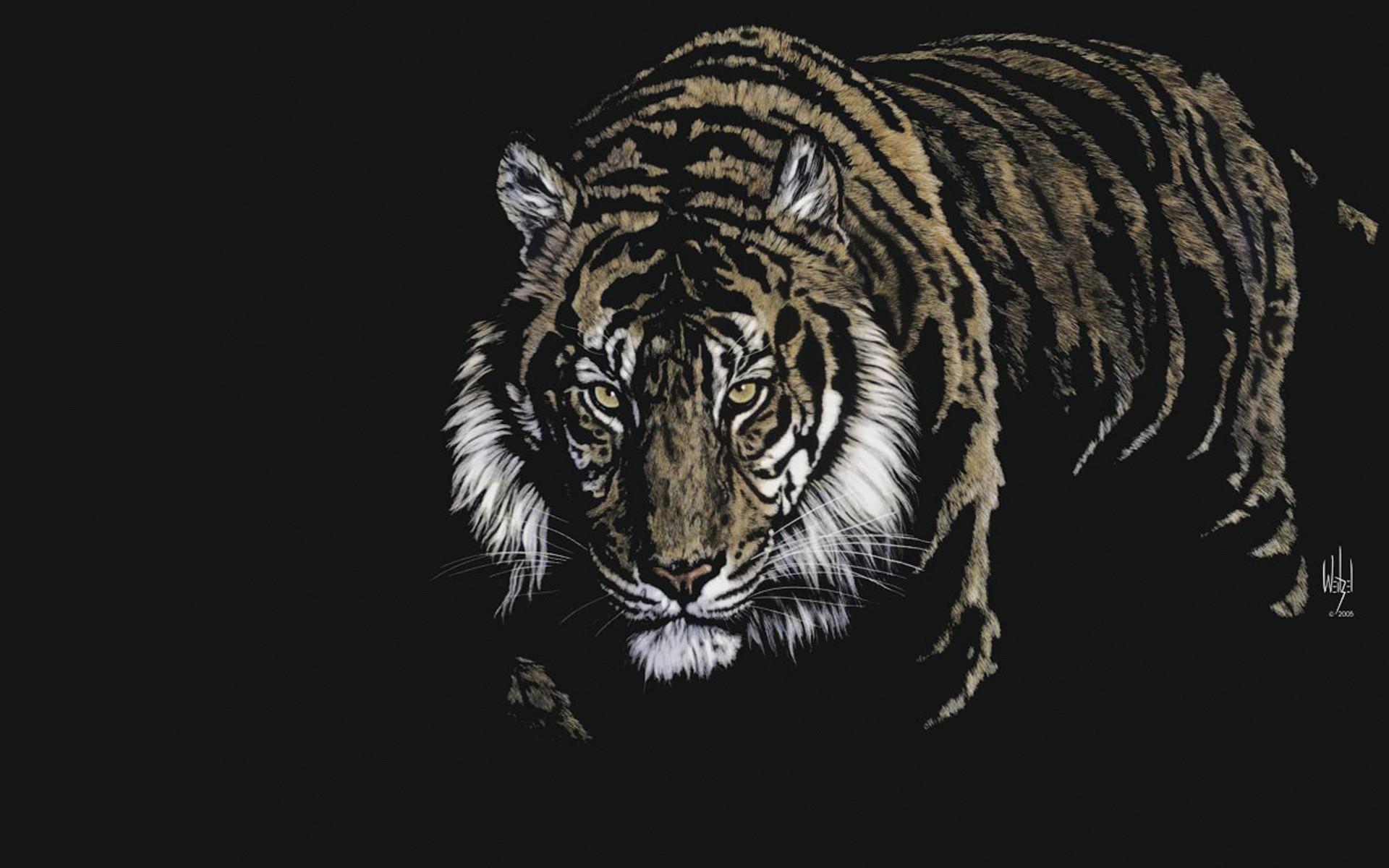 1920x1200 Free download Nice Tiger 3D HD Wallpaper Nice Tiger 3D HD Wallpaper [1920x1200] for your Desktop, Mobile & Tablet. Explore Nice 3D Wallpaper. Nice Background, Nice Nature Wallpaper, Nice Background Image