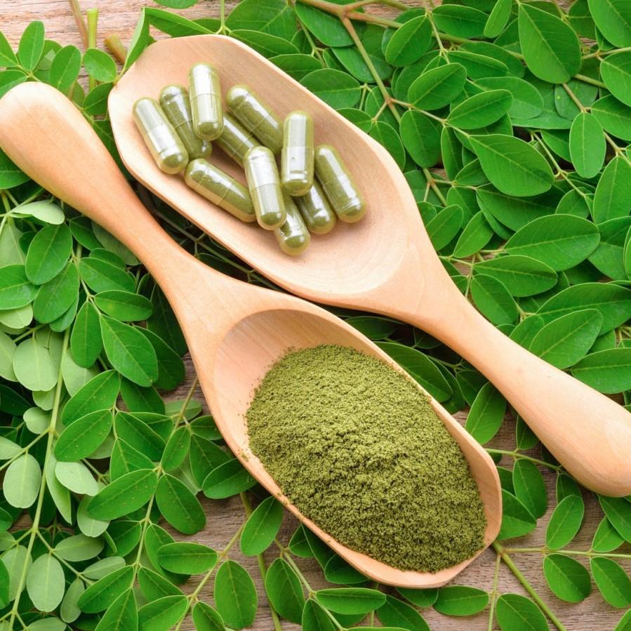 Moringa Wallpapers - Top Free Moringa Backgrounds - WallpaperAccess