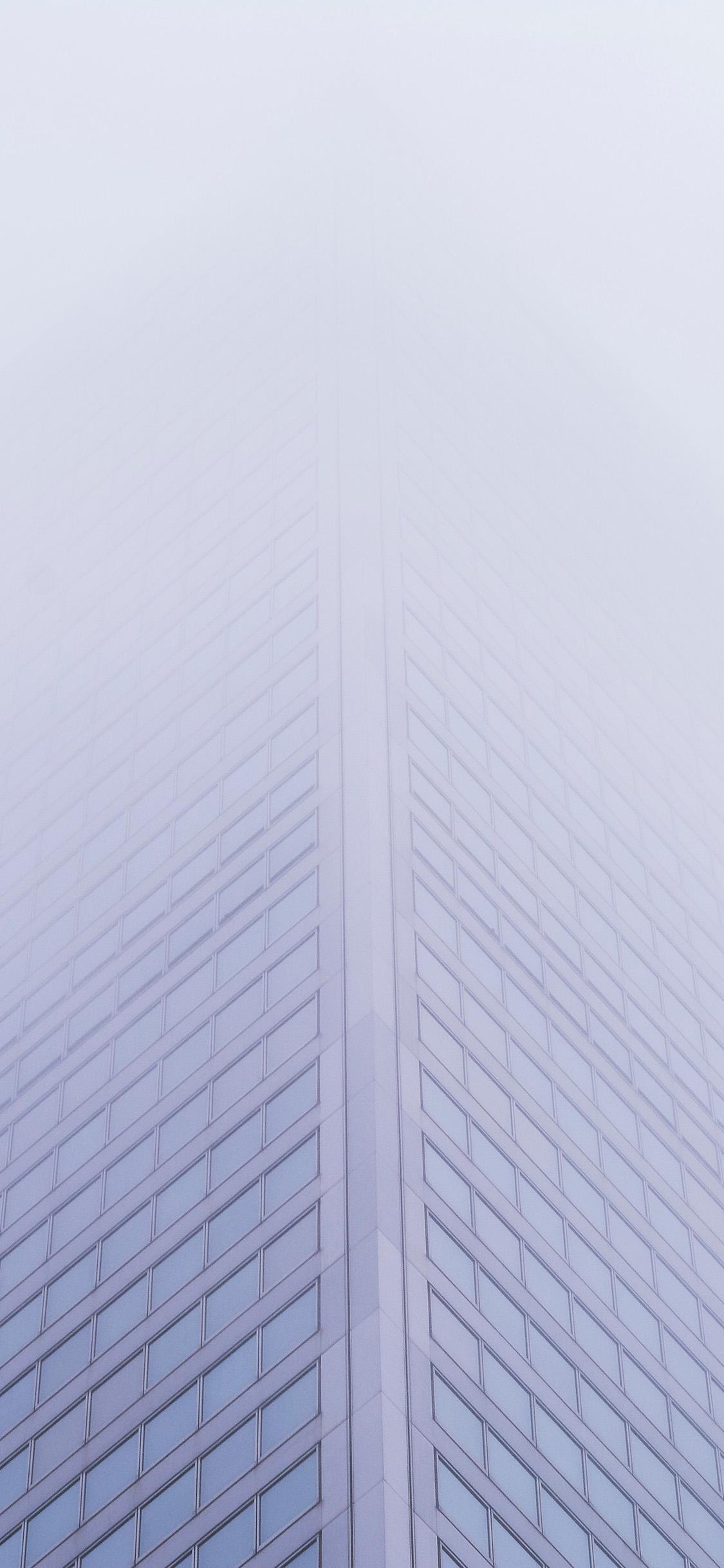 1125x2436 nature fog city building architecture