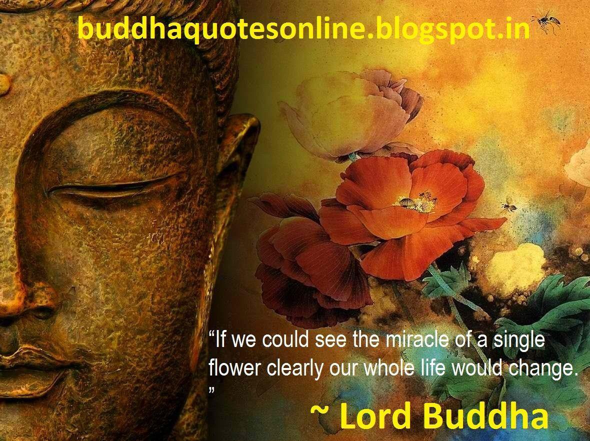 1180x882 lord buddha brainy quotes Buddha Quotes Online Buddha HD wallpaper