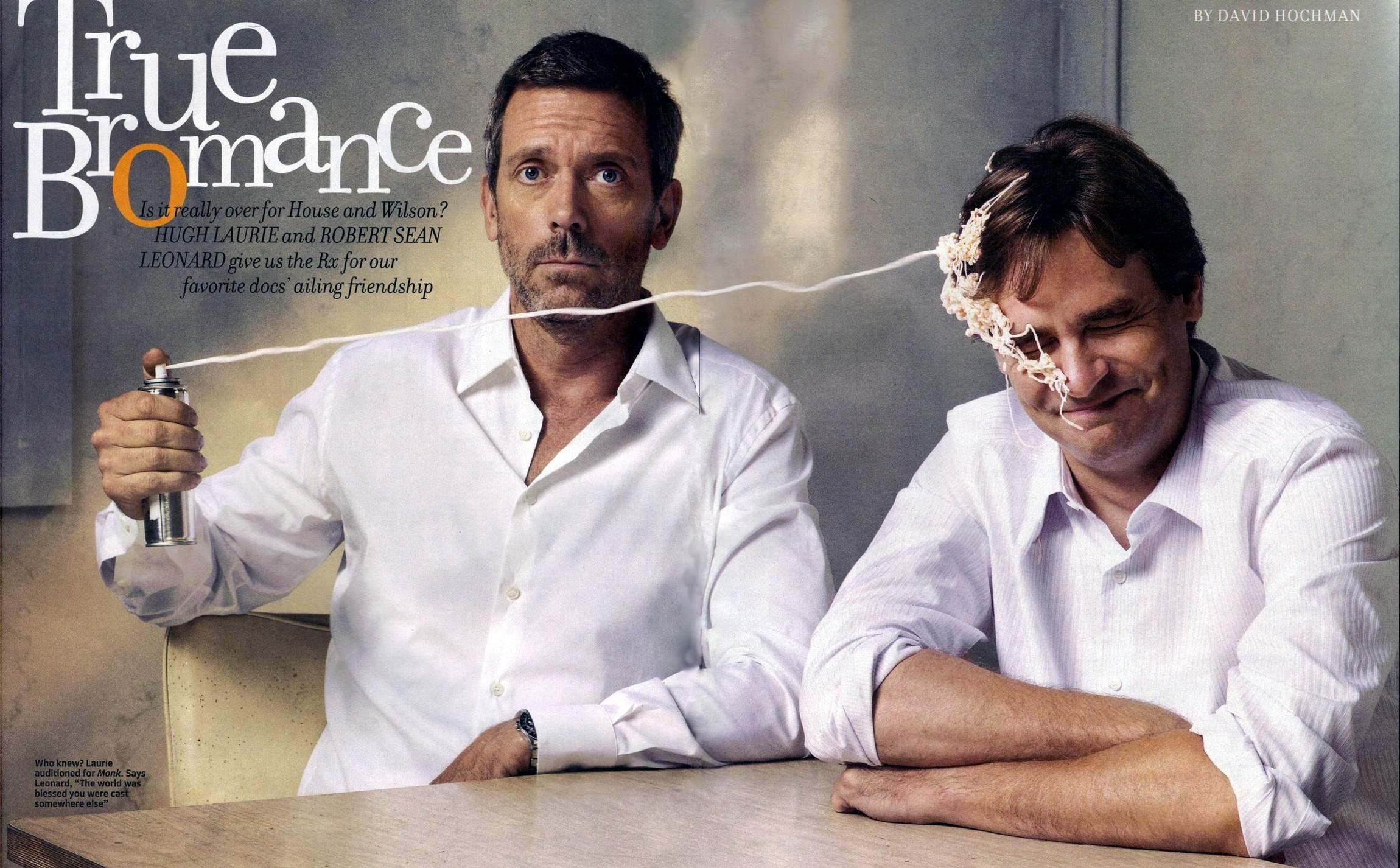 2300x1426 Wallpaper / hd, series, robert, x, 1080P, entertainment, hugh, dr, house, Dr House, tv, leonard, sean, laurie, art free download