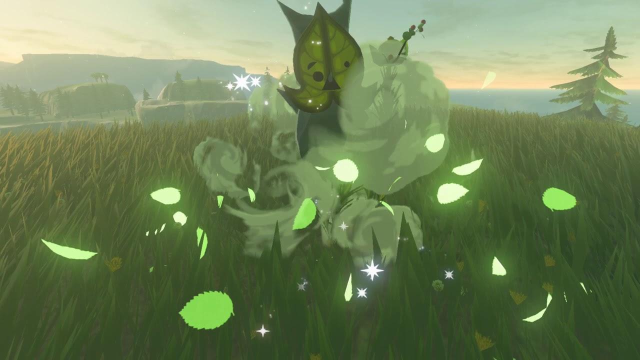 1280x720 Korok seeds. Ulria Grotto (East). Akkala Tower
