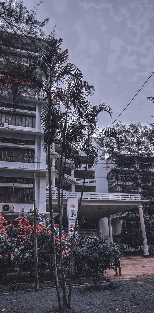 630x1280 Chittagong University wallpaper