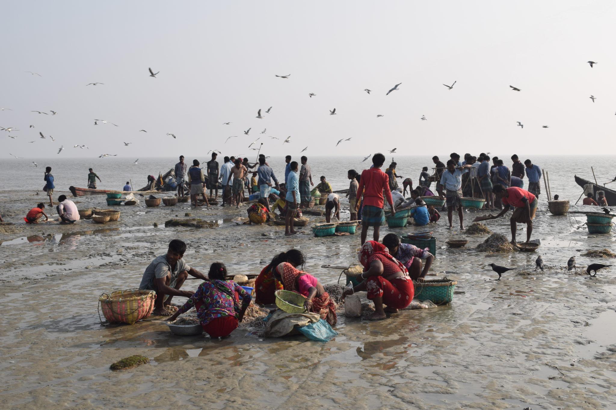 2048x1365 Best of 2020: The forgotten fishers of Bangladesh. The Third Pole