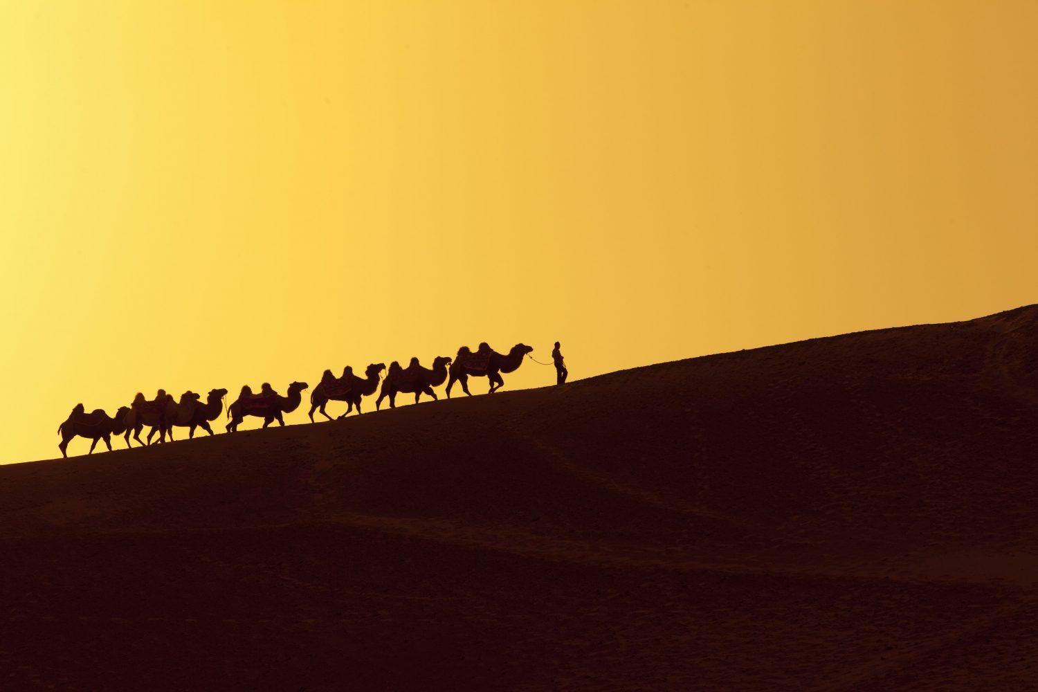 1500x1000 Silk Road Goes Dark: Bitcoin Survives Its Biggest Market's Demise