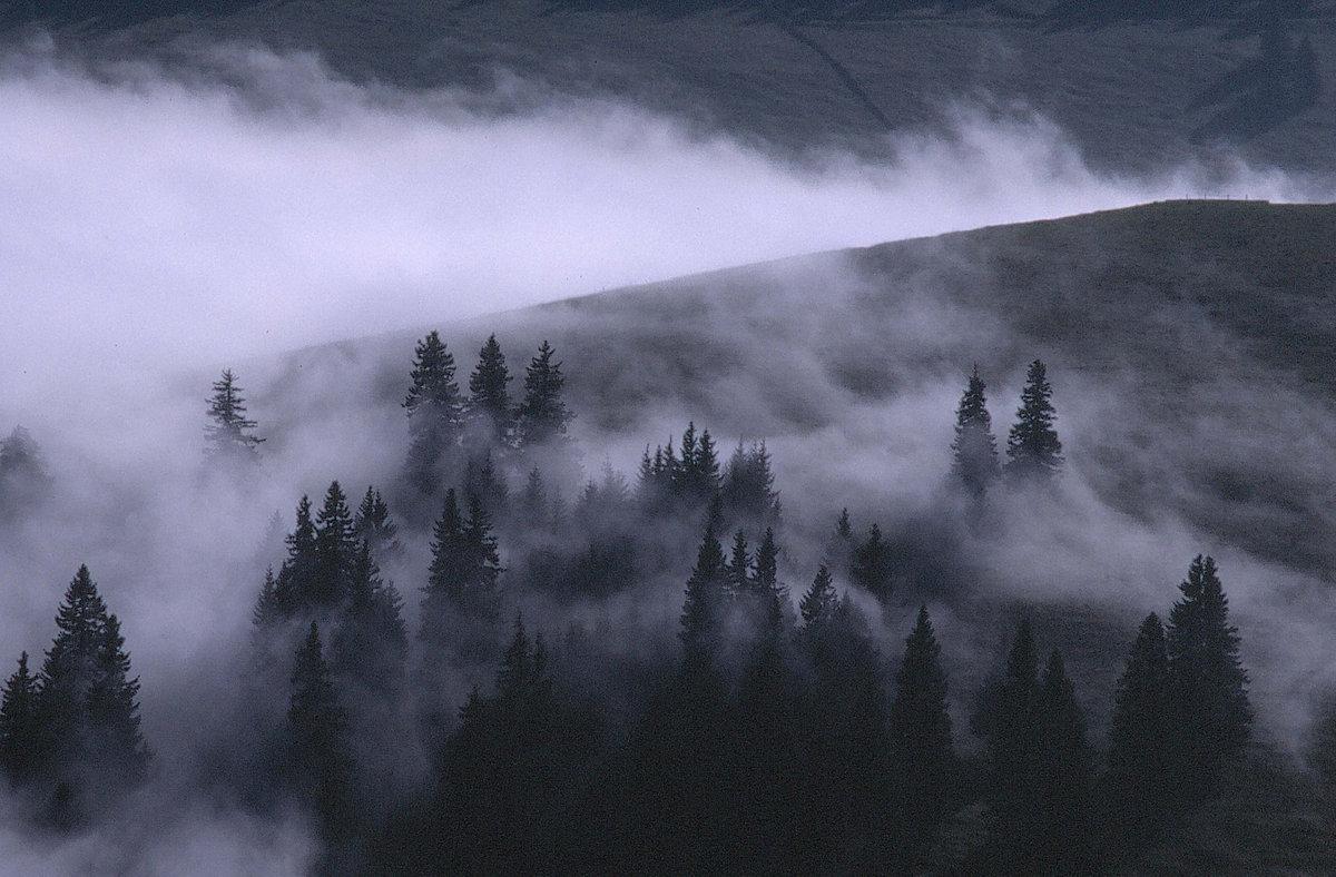 1200x788 Urstrøm (feat. Skyggefigurrer)