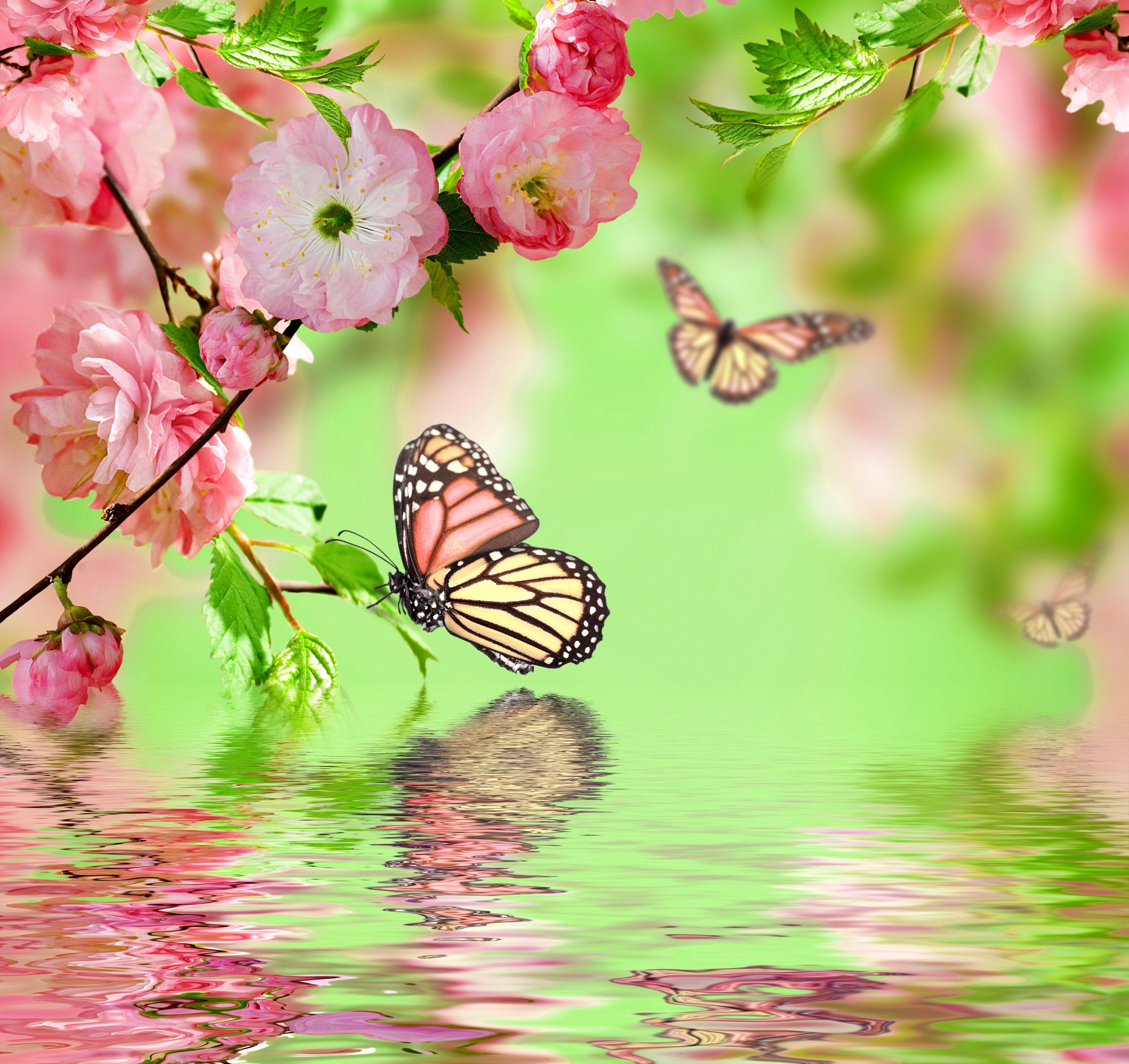 Pastel Pink Aesthetic Wallpaper Butterfly See More Ideas About Pastel Pink Aesthetic Art Collage Wall Aesthetic Pastel Wallpaper