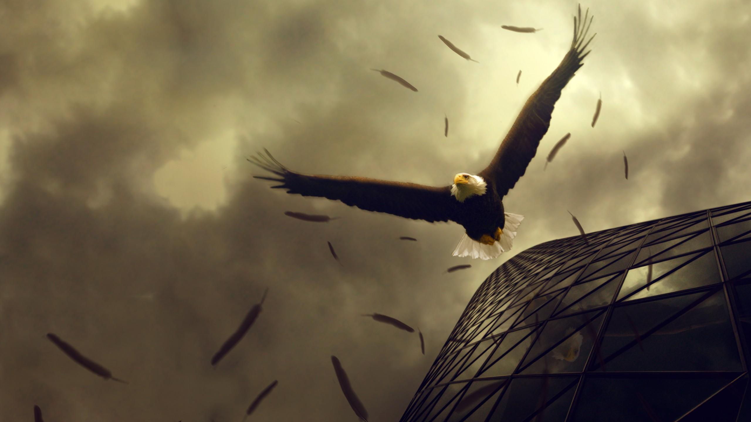 2560x1440 Wallpaper Eagle, 4k, HD wallpaper, sky, clouds, building, fly, wings, plumage, art, OS