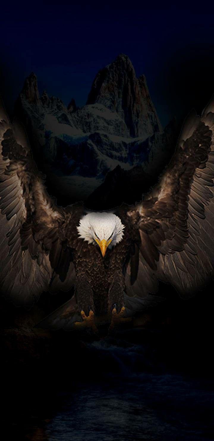 720x1480 Eagle Black Phone Wallpaper
