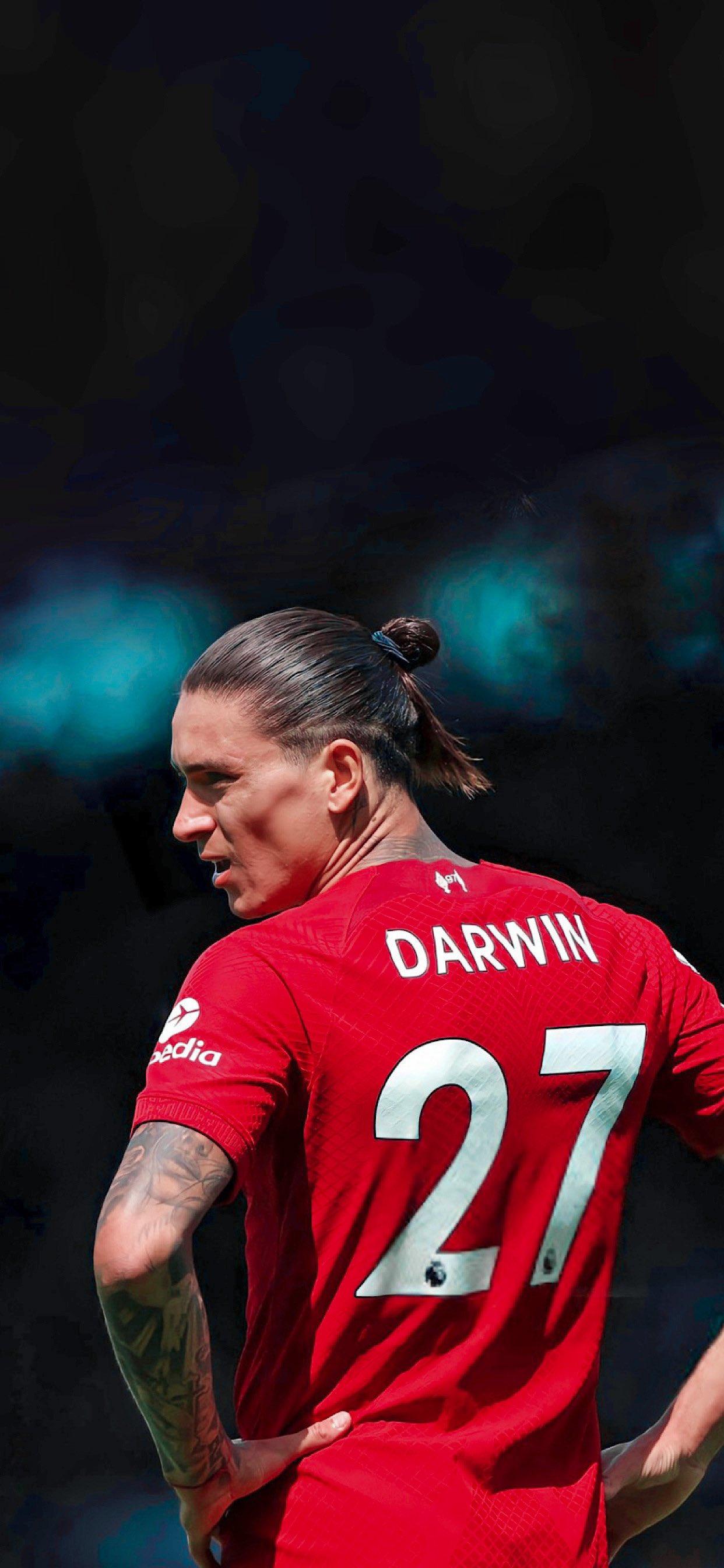 Darwin Nunez Liverpool Wallpapers - Top Free Darwin Nunez Liverpool ...