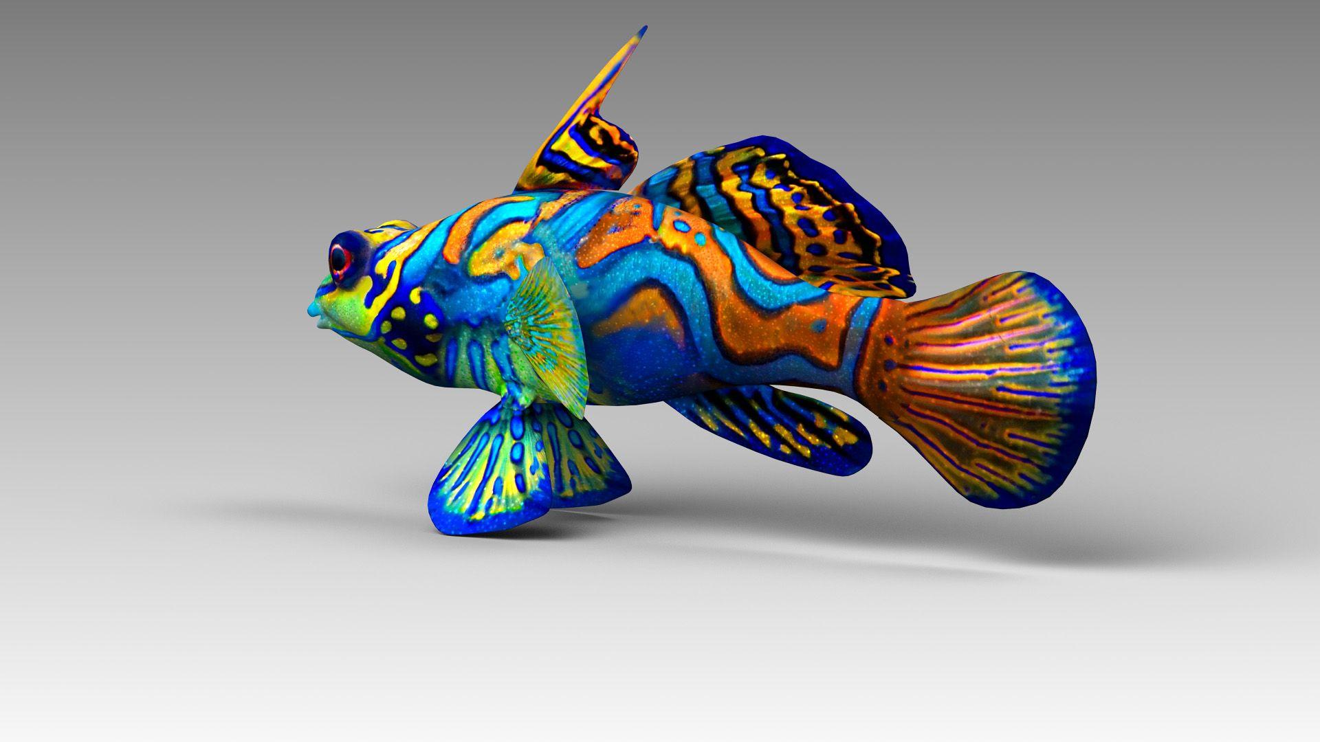 1920x1080 Mandarin Fish 3D Model $39 - .fbx .lwo .max .c4d .stl .3Ds .obj .ma