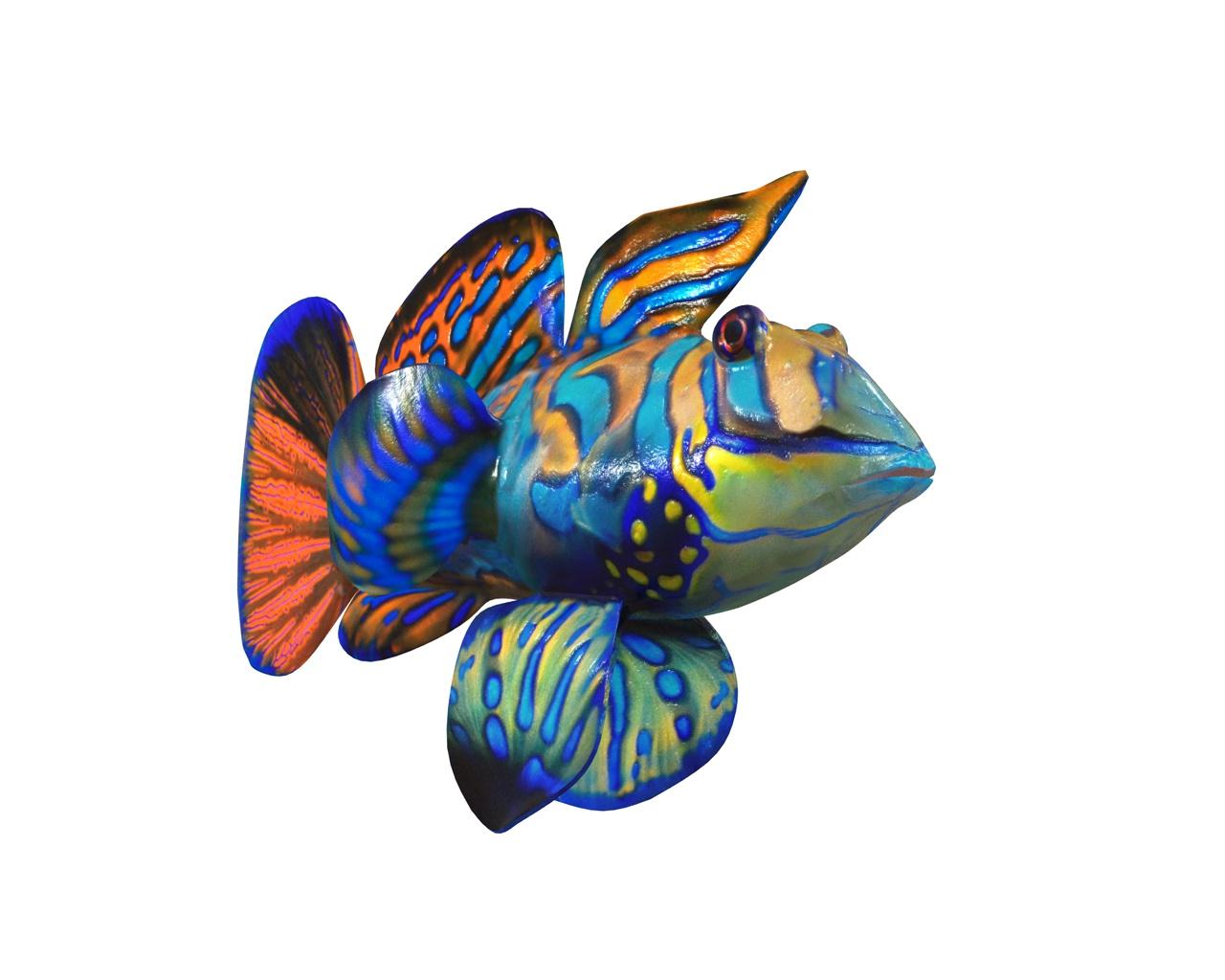 1280x1024 Mandarin Dragonet goby fish 3D