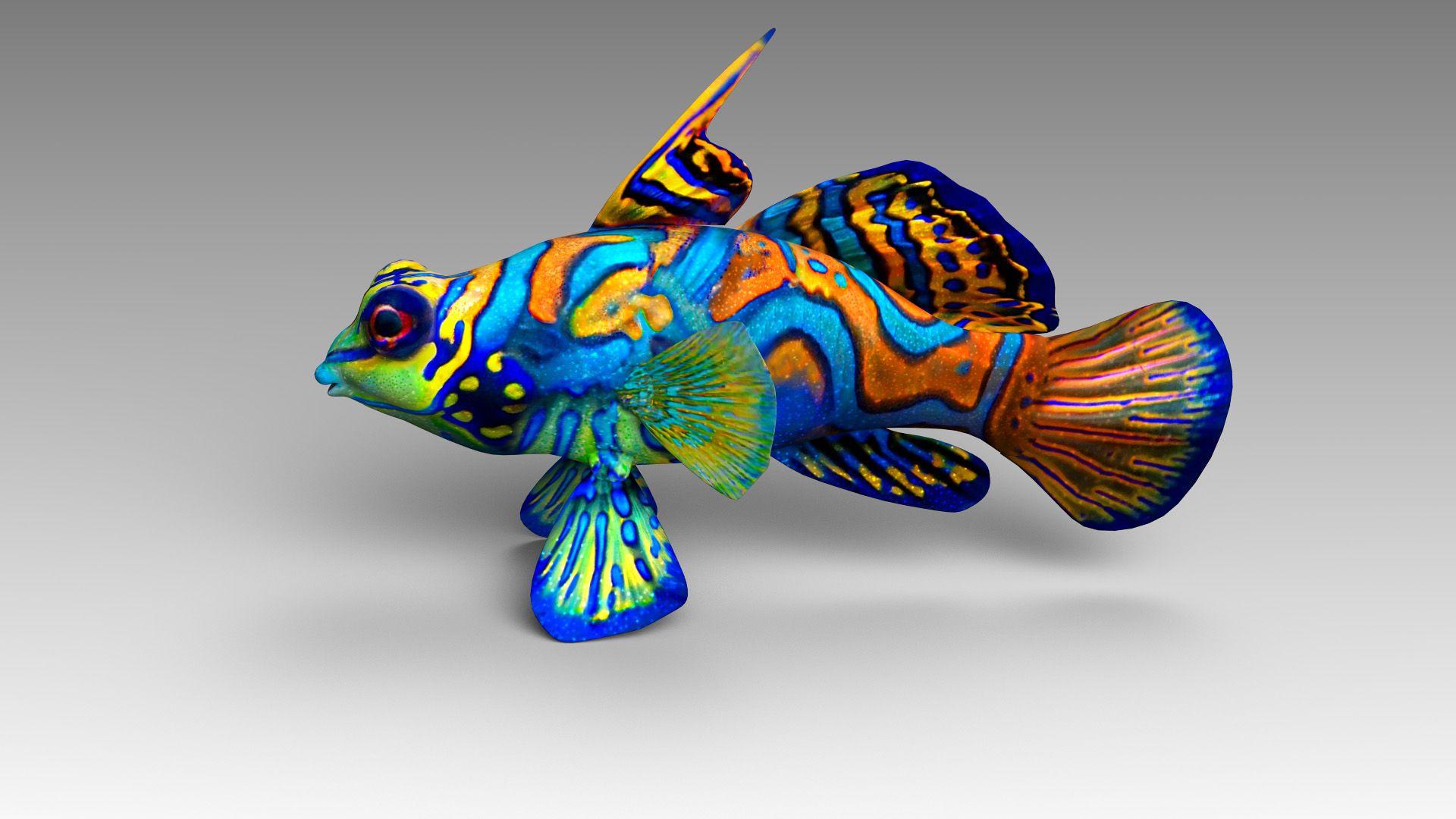 1920x1080 Mandarin Fish 3D Model $39 - .fbx .lwo .max .c4d .stl .3Ds .obj .ma