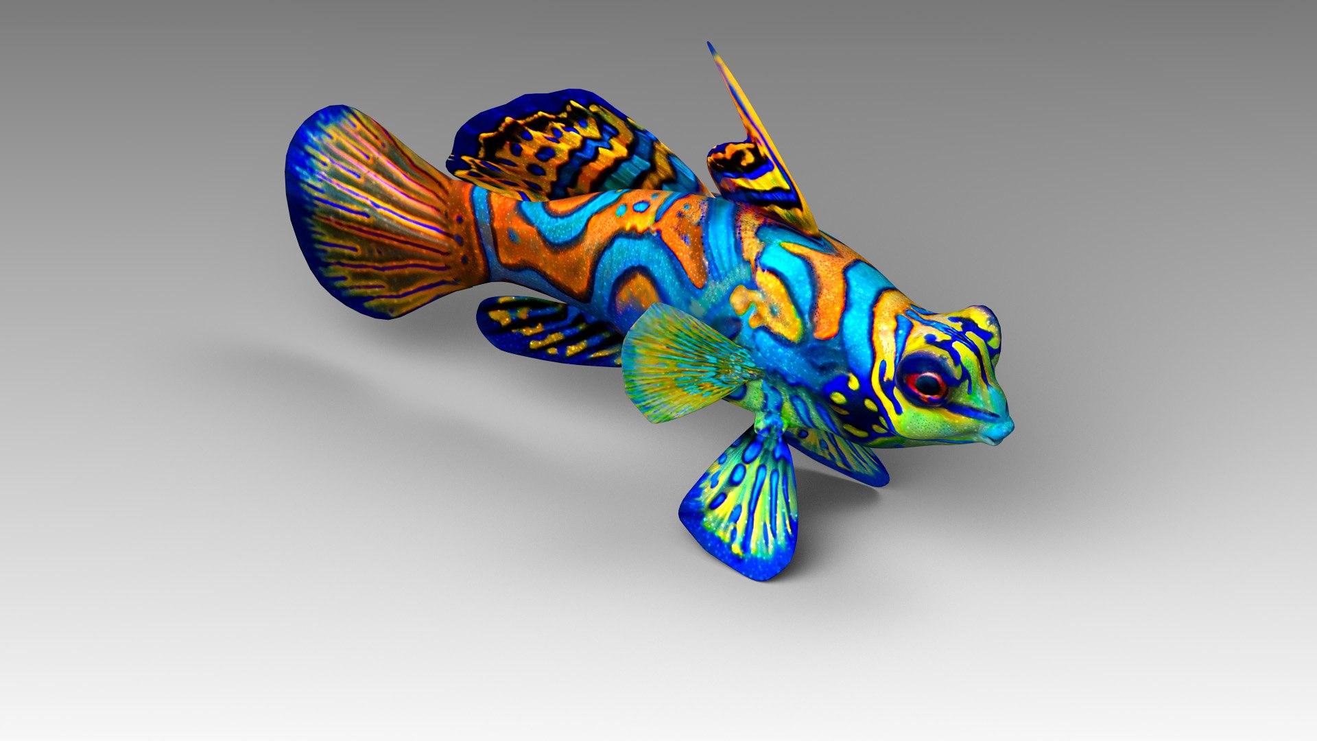 1920x1080 3D mandarin fish