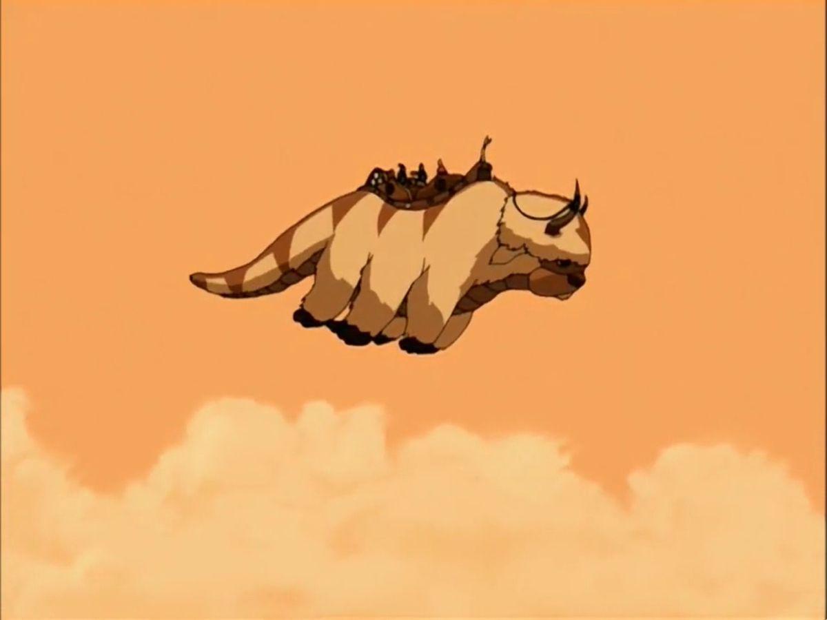 Appa and Momo Wallpapers Top Free Appa and Momo Backgrounds WallpaperAccess