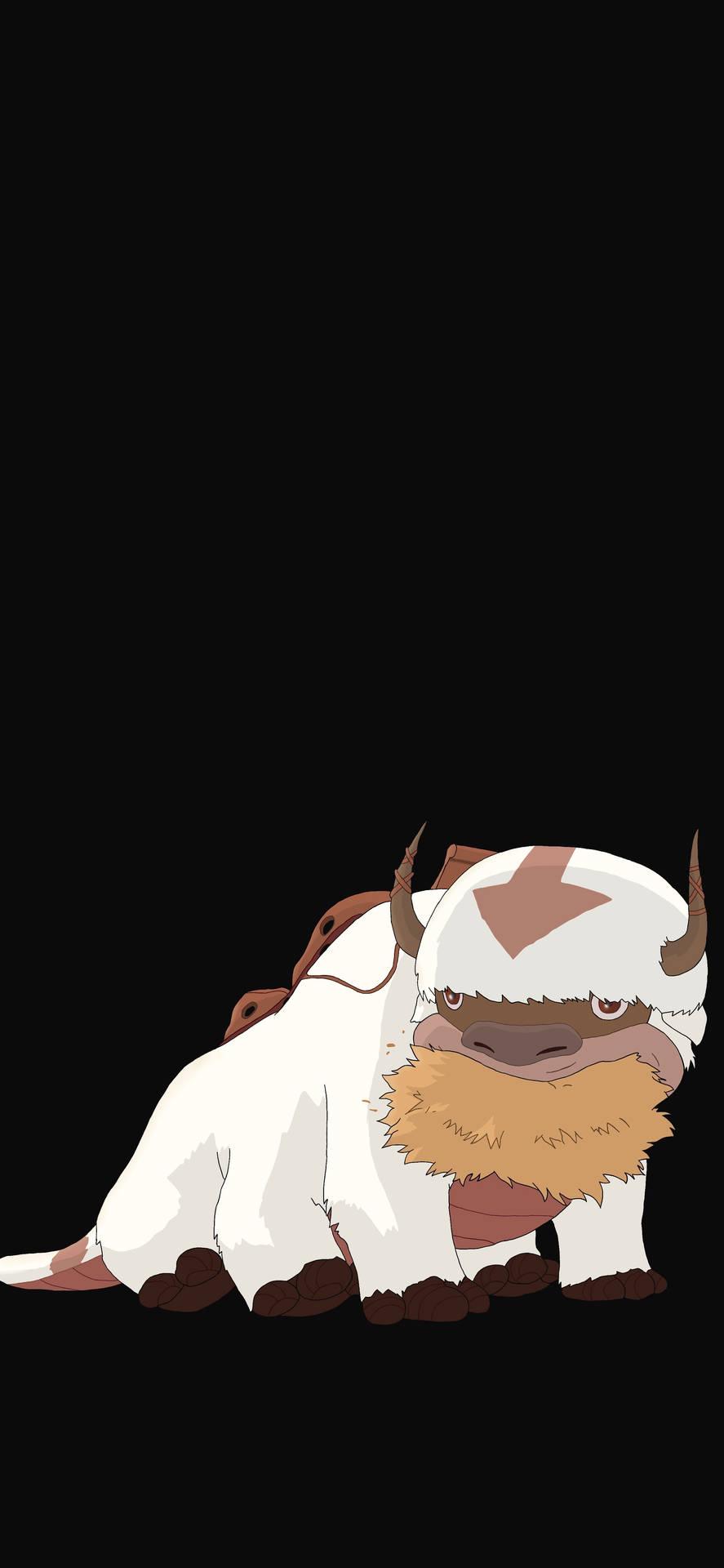 Appa and Momo Wallpapers - Top Free Appa and Momo Backgrounds ...