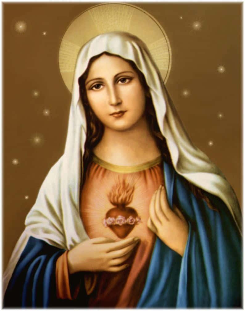 794x1007 Mother Mary Wallpaper