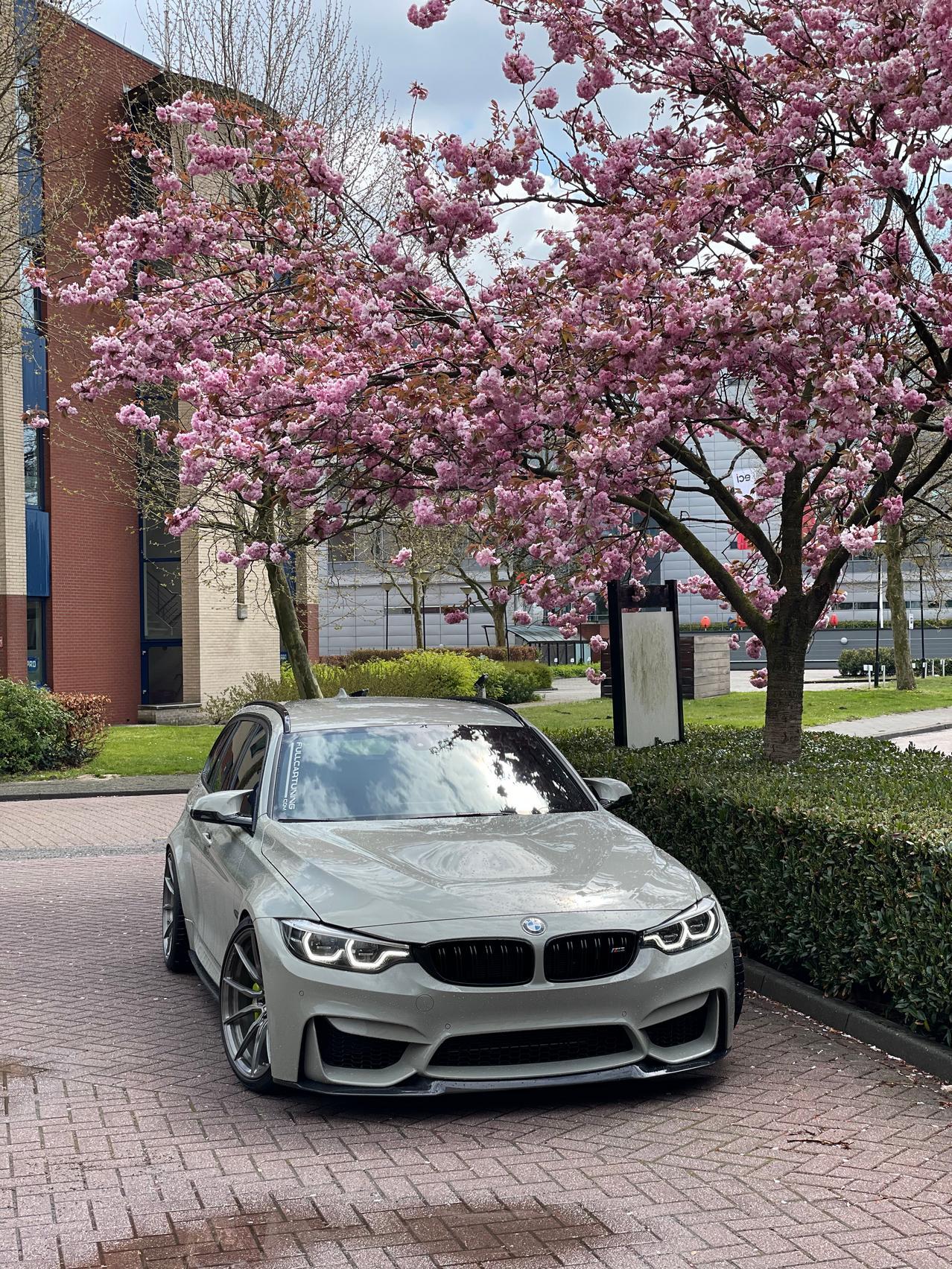 1278x1704 Project Exposure: World's Only BMW M3 CS Wagon