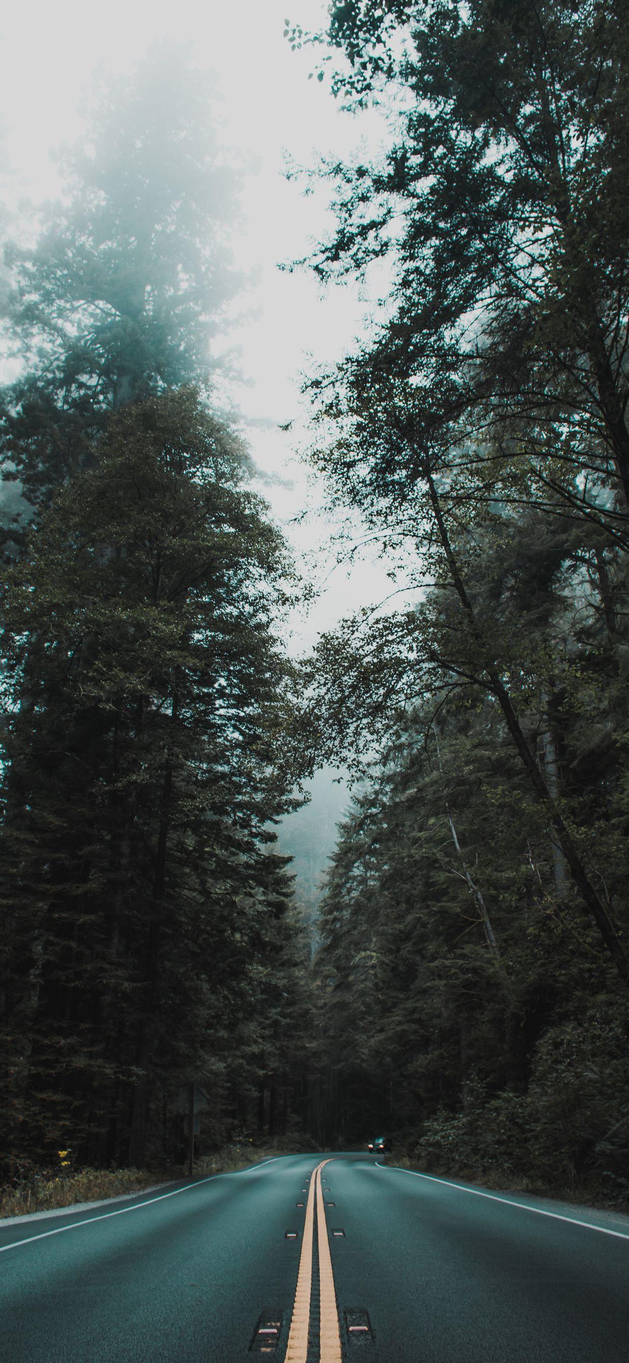 1242x2688 Stunning Wallpaper for iPhone X, iPhone XS and iPhone XS Max
