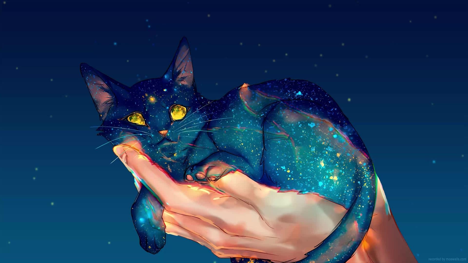 1920x1080 Galaxy Cat Live Wallpaper