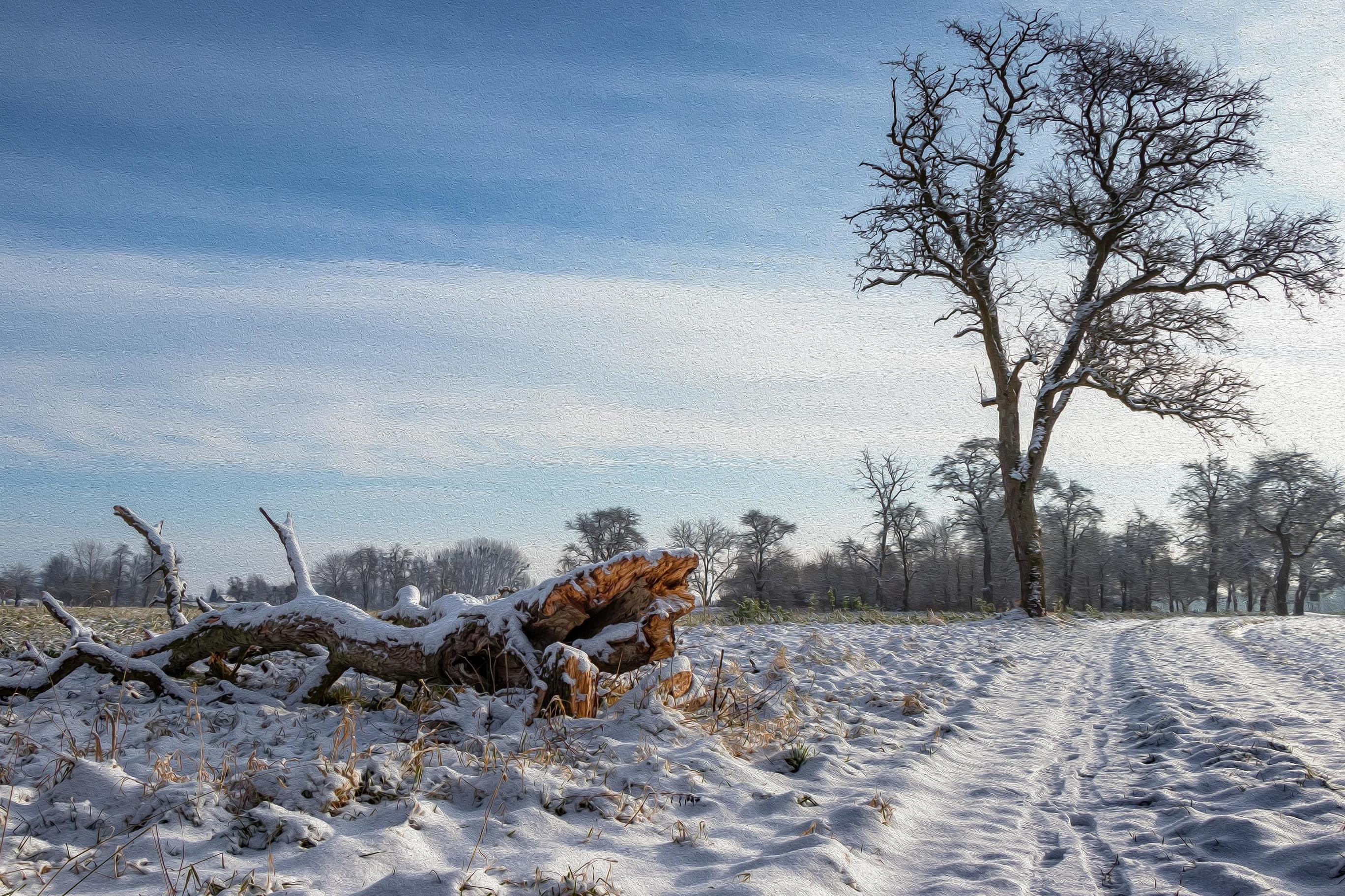 2736x1824 Winterwonderland 4K UltraHD Wallpaper. Wallpaper Studio 10. Tens