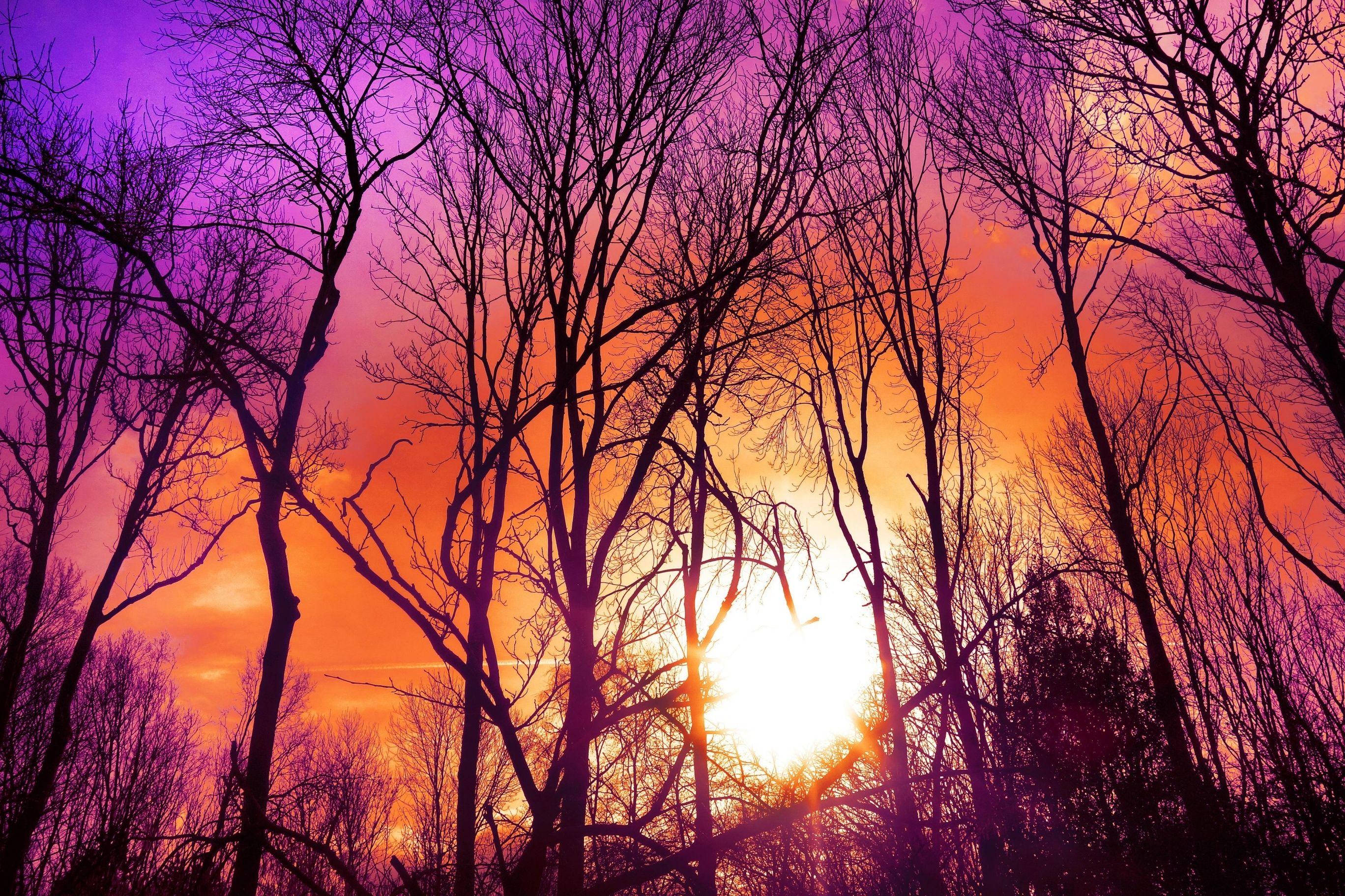 2736x1824 Purplish Sunset 4K UltraHD Wallpaper. Wallpaper Studio 10