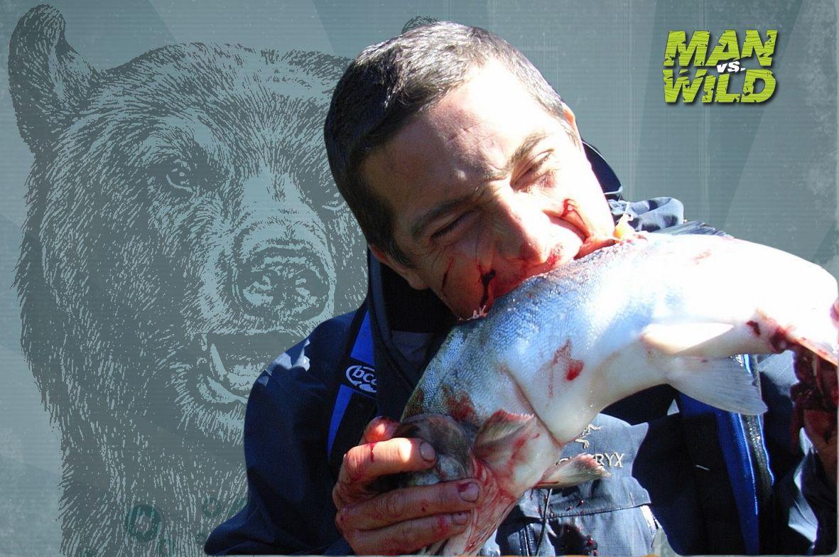 1181x784 Man vs. Wild image Man Vs Wild HD wallpaper and background photo